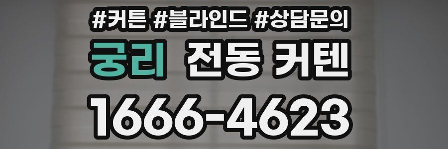 궁리 전동 커텐