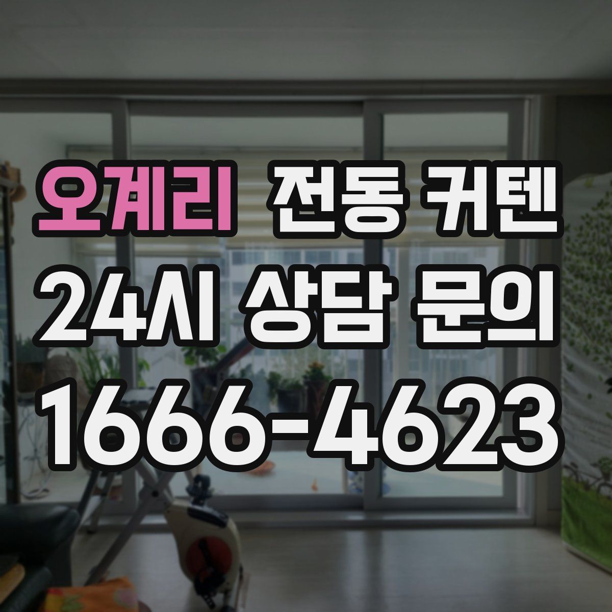 오계리 전동 커텐