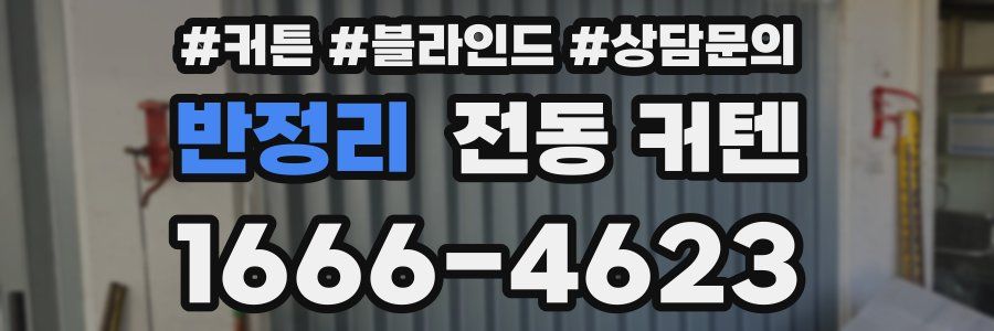 반정리 전동 커텐