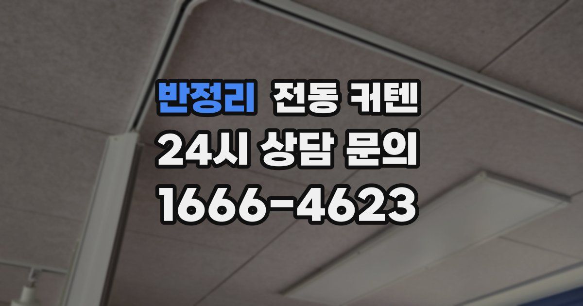 반정리 전동 커텐
