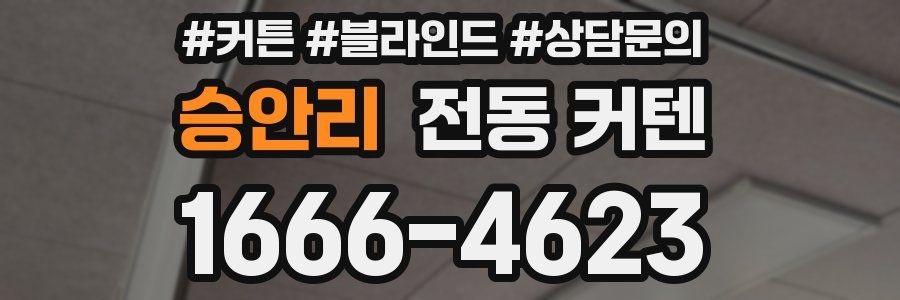 승안리 전동 커텐