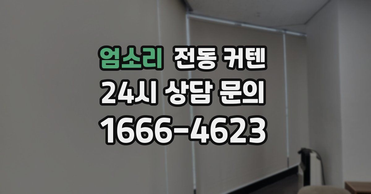 엄소리 전동 커텐