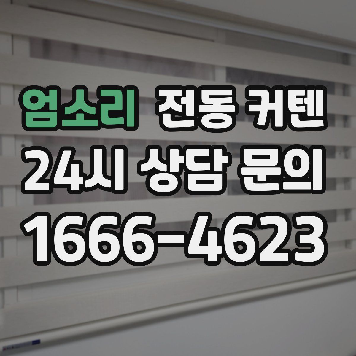 엄소리 전동 커텐
