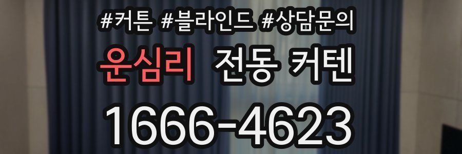 운심리 전동 커텐