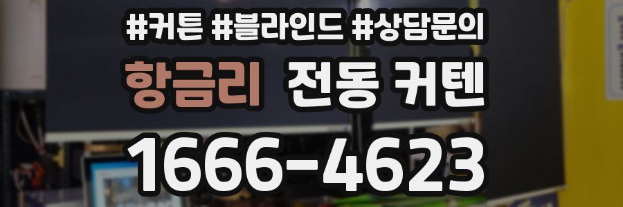 항금리 전동 커텐