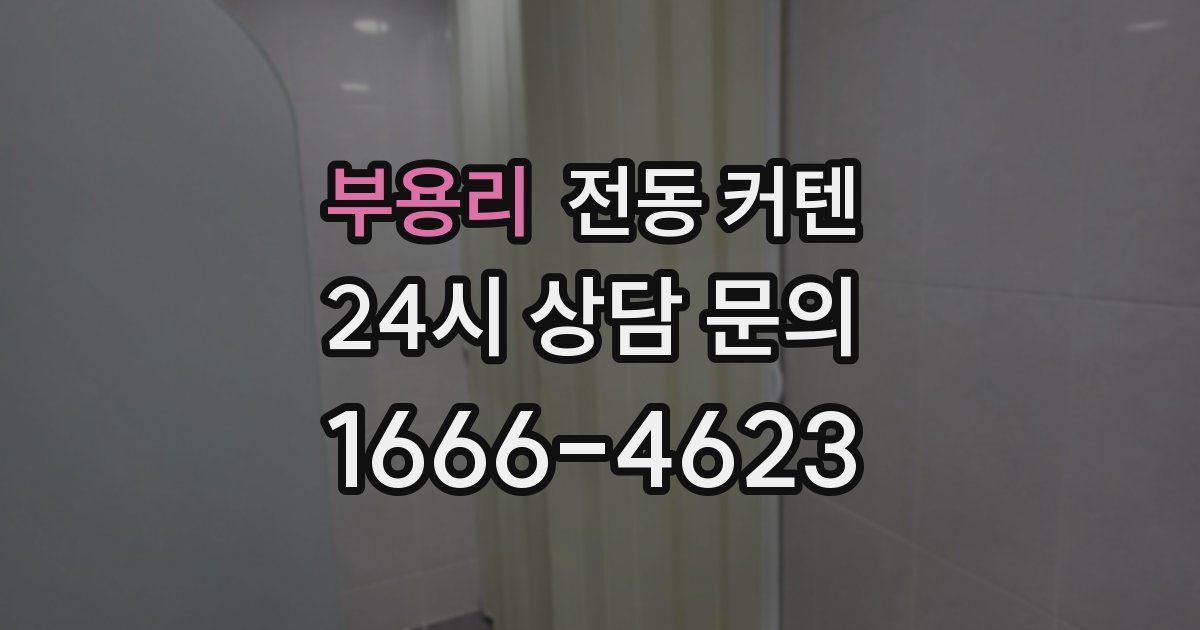 부용리 전동 커텐