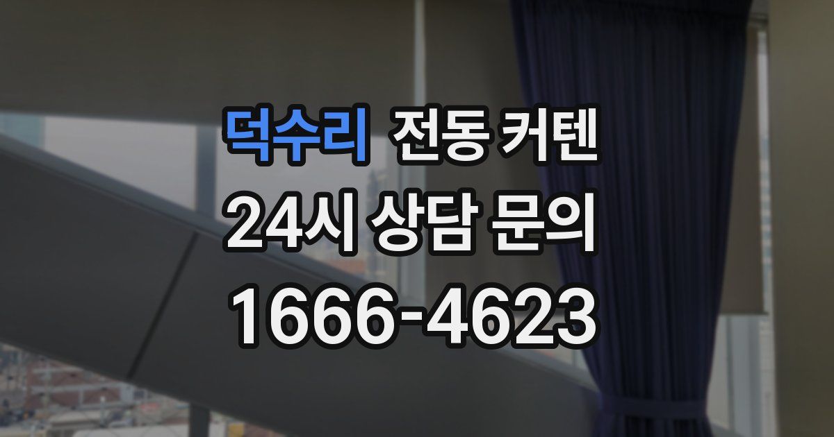덕수리 전동 커텐