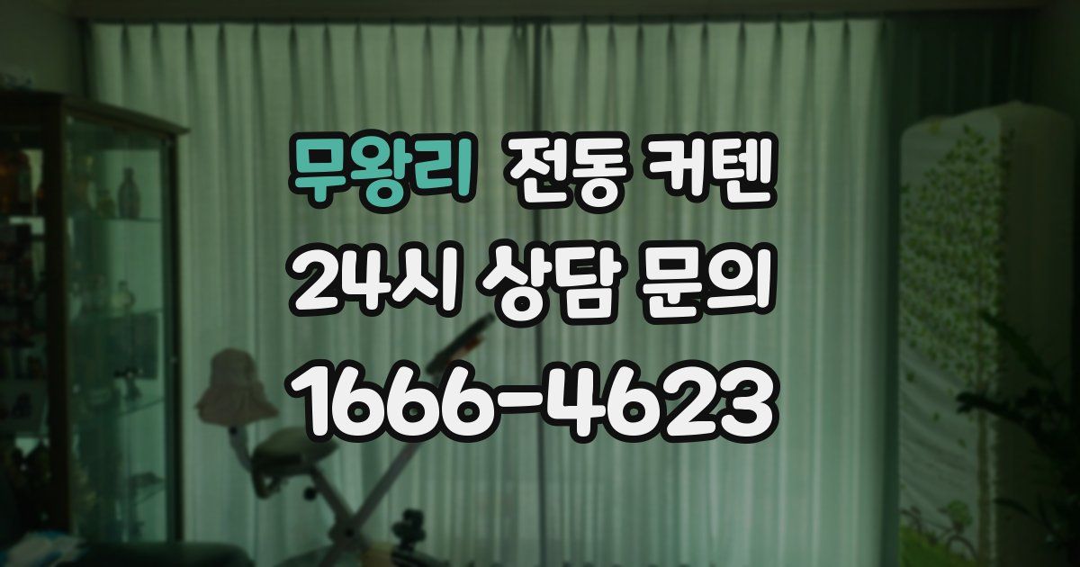무왕리 전동 커텐