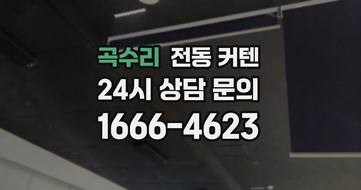 곡수리 전동 커텐