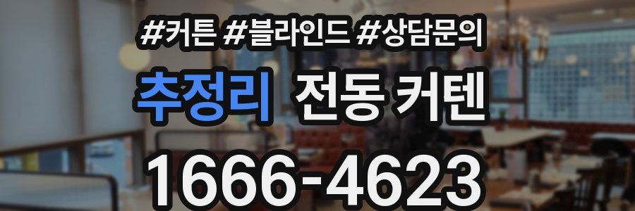 추정리 전동 커텐