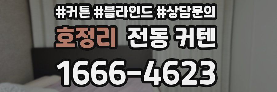 호정리 전동 커텐