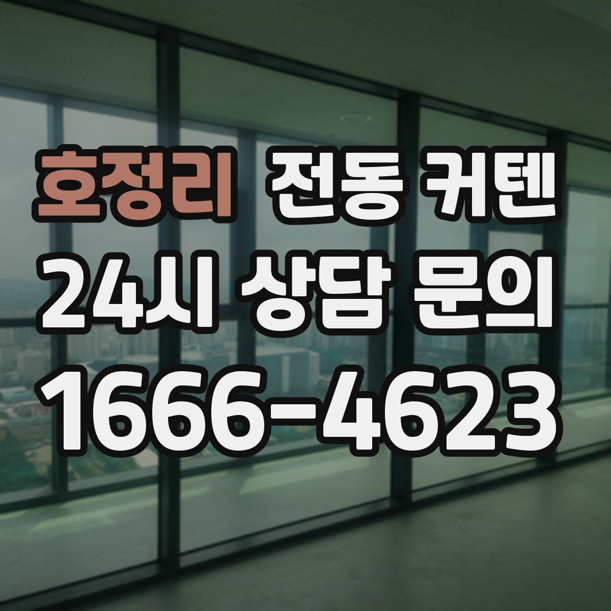 호정리 전동 커텐