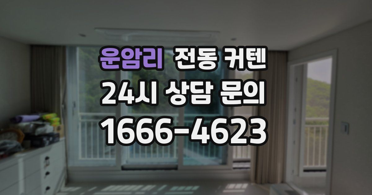 운암리 전동 커텐