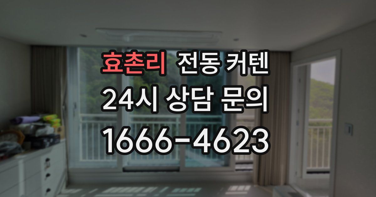 효촌리 전동 커텐
