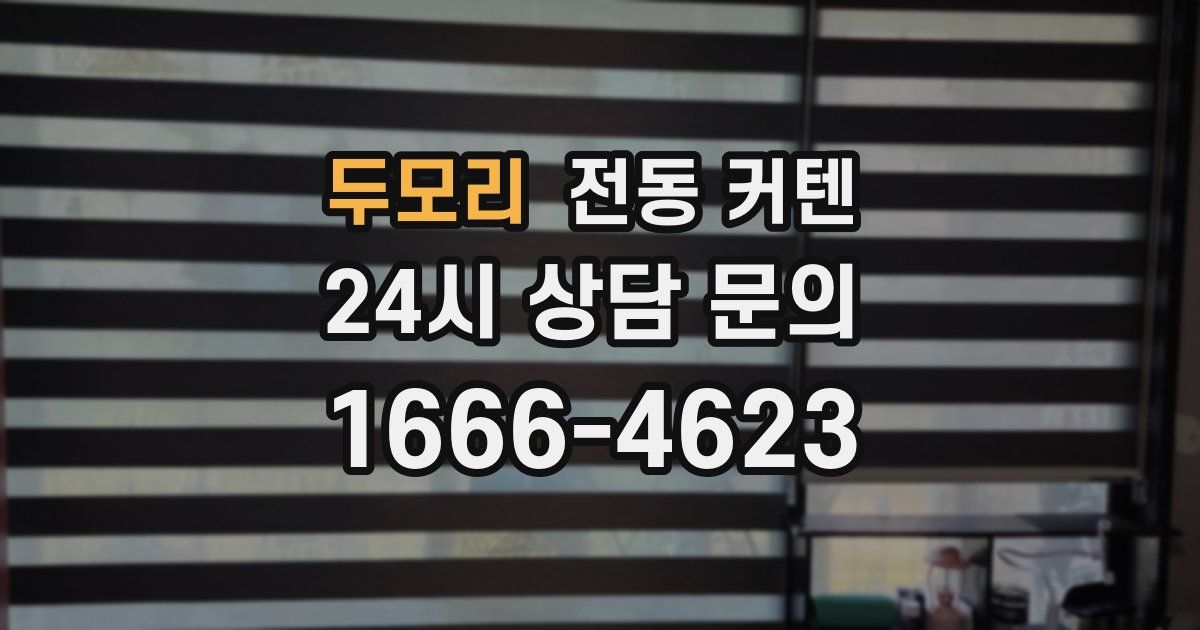 두모리 전동 커텐