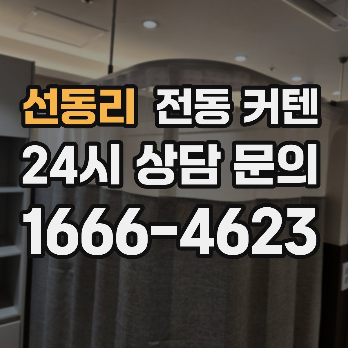 선동리 전동 커텐