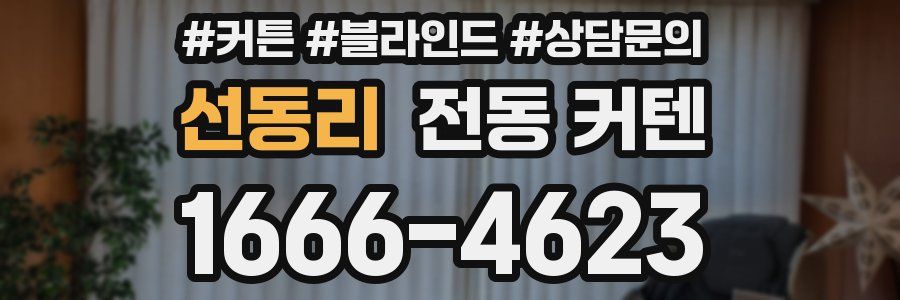 선동리 전동 커텐