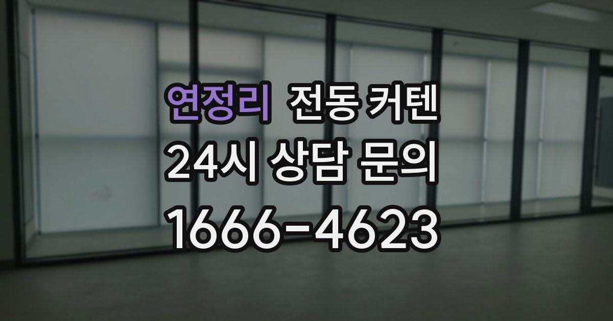연정리 전동 커텐