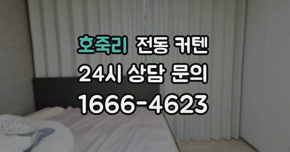 호죽리 전동 커텐