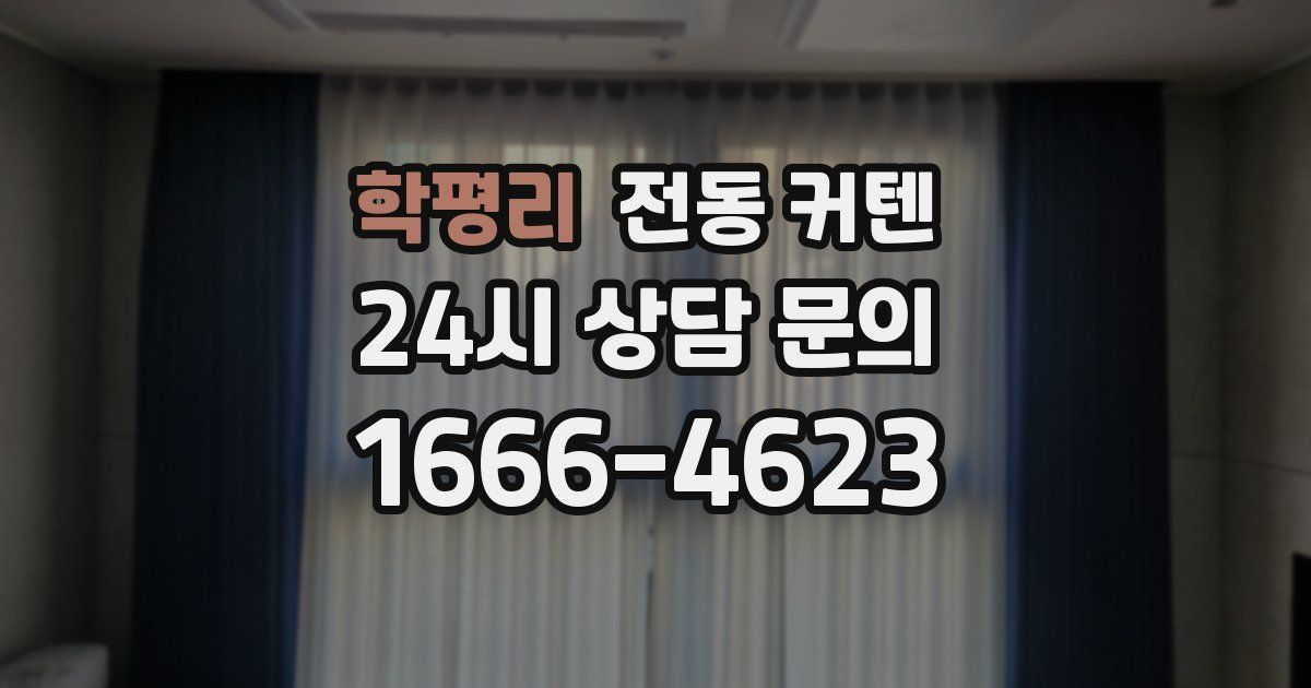 학평리 전동 커텐