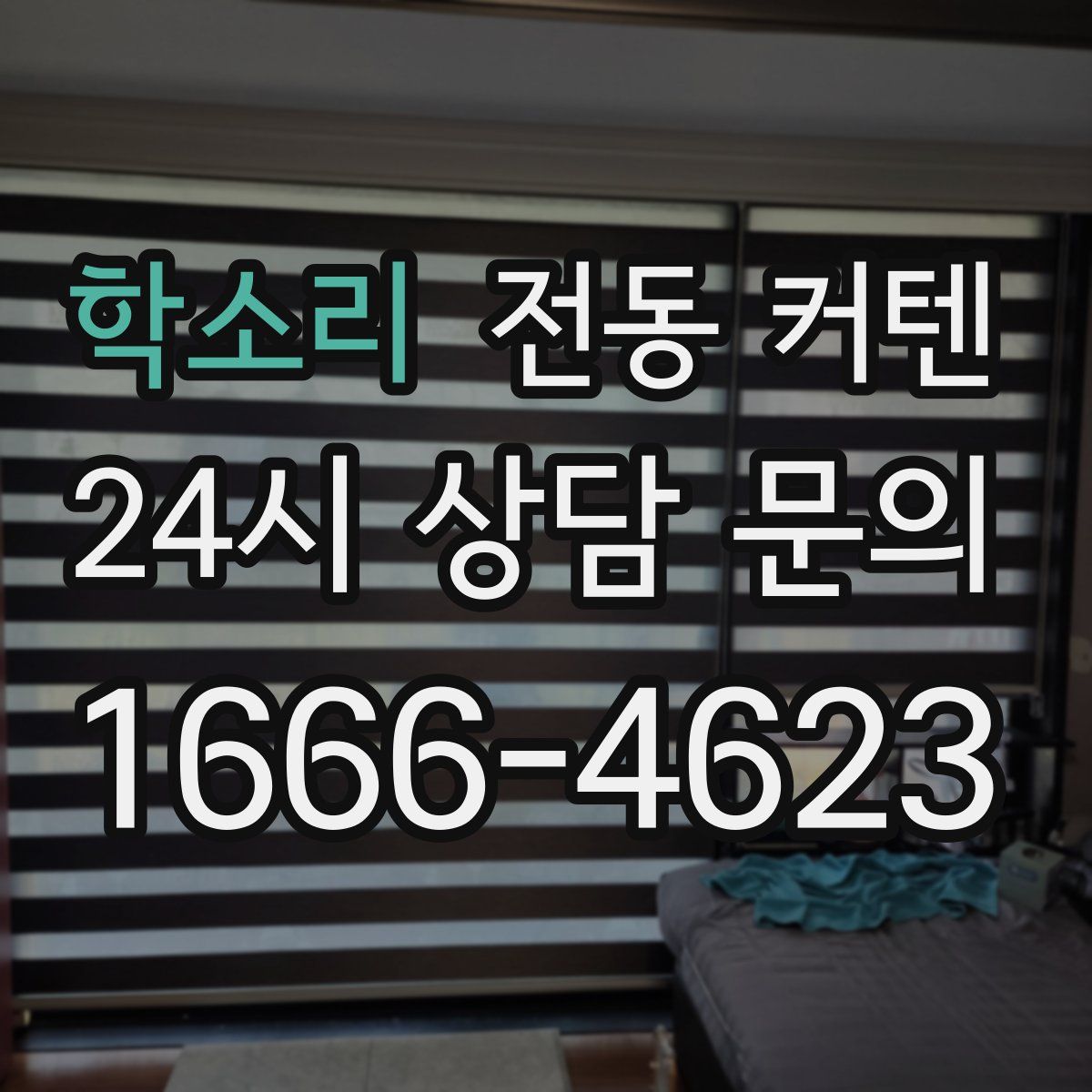 학소리 전동 커텐