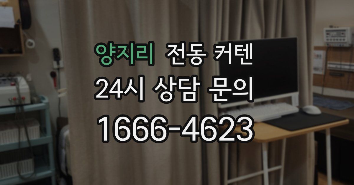 양지리 전동 커텐
