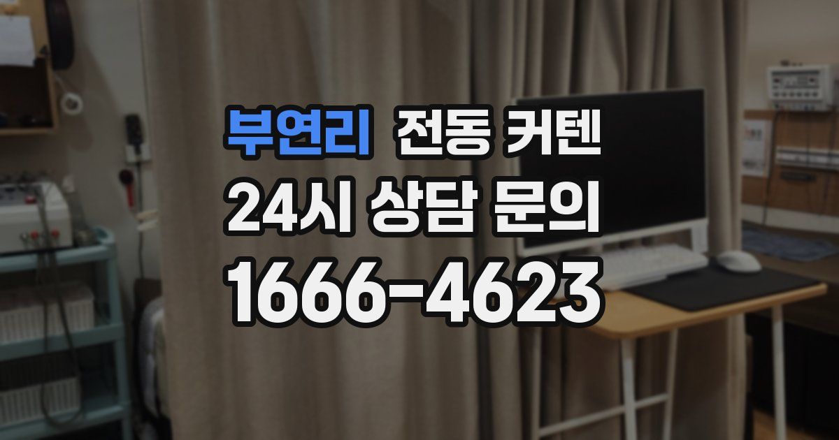 부연리 전동 커텐