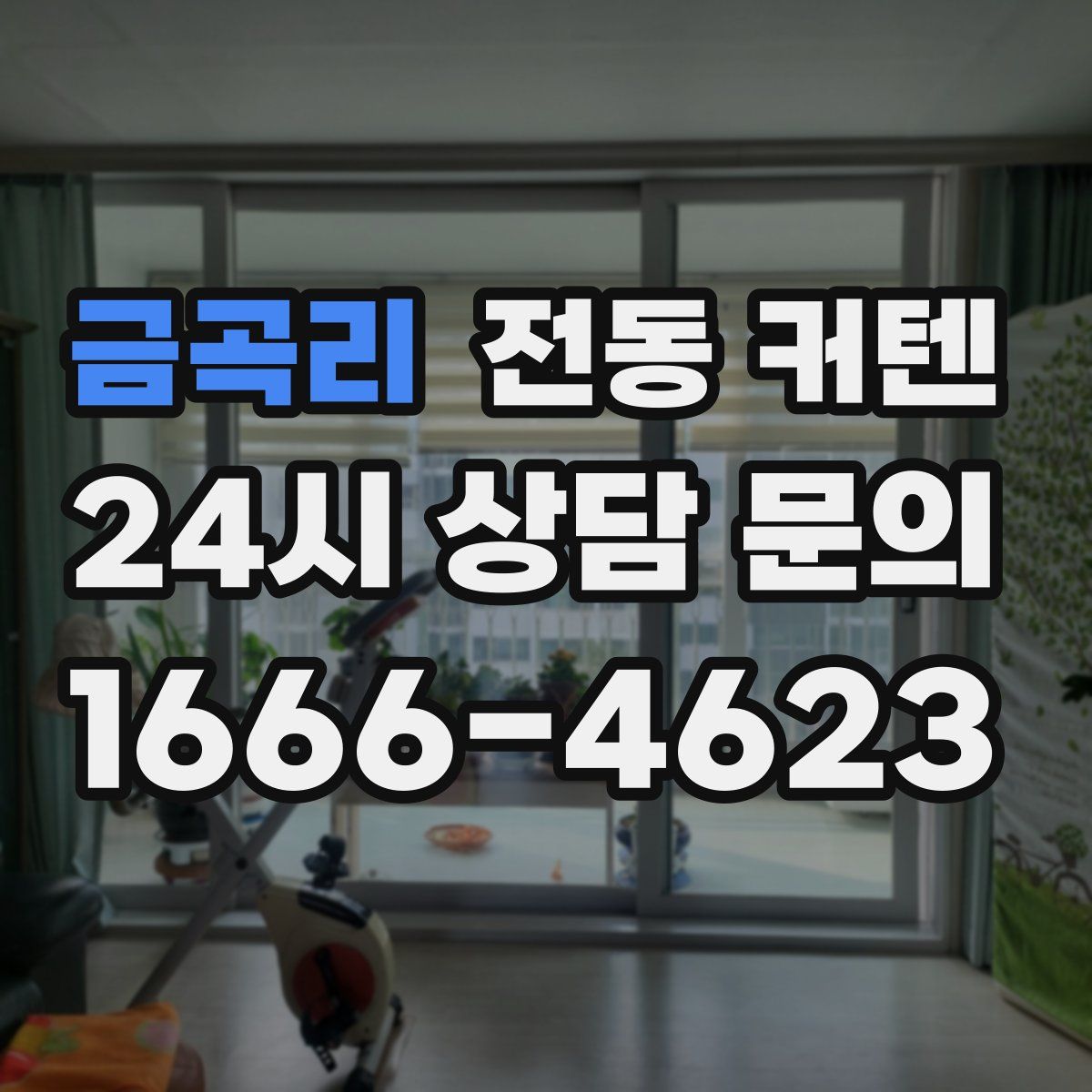 금곡리 전동 커텐