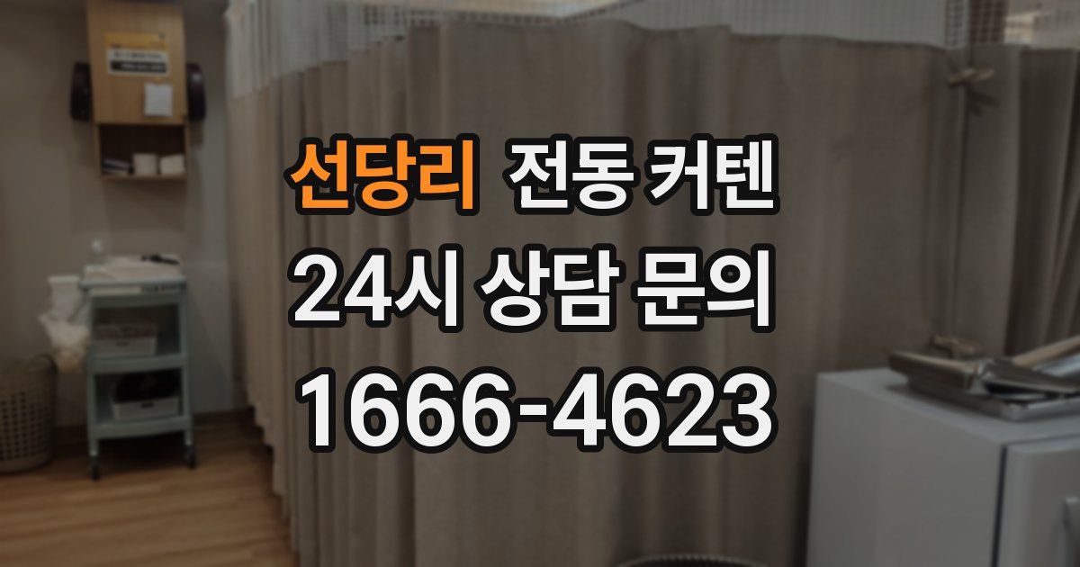 선당리 전동 커텐