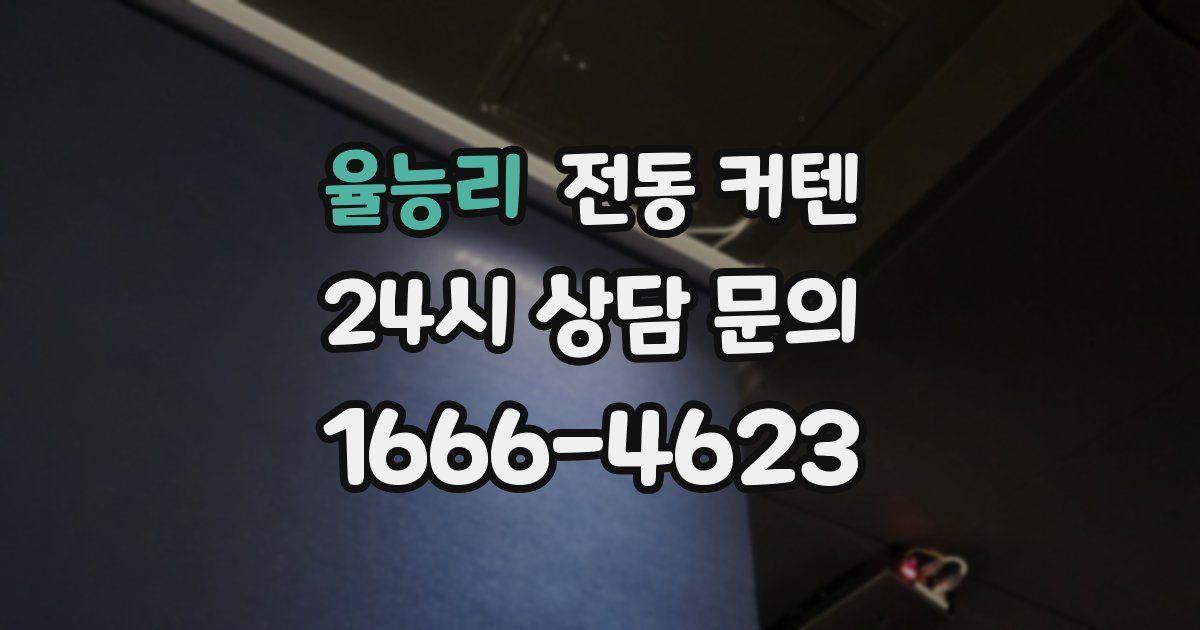 율능리 전동 커텐