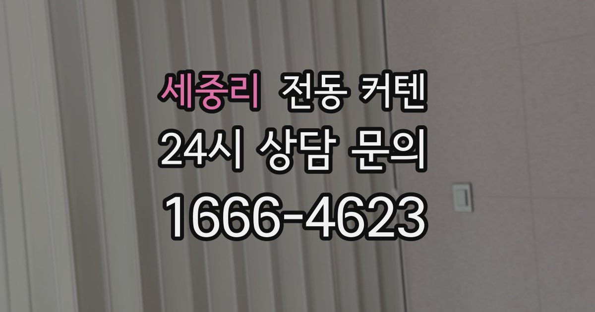 세중리 전동 커텐