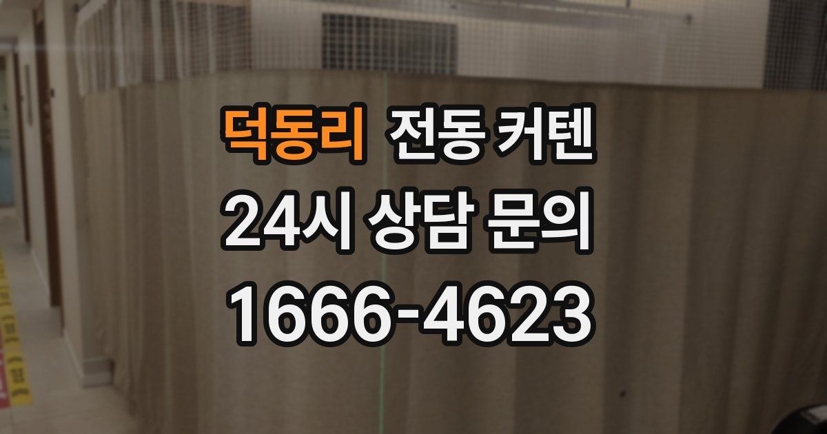 덕동리 전동 커텐