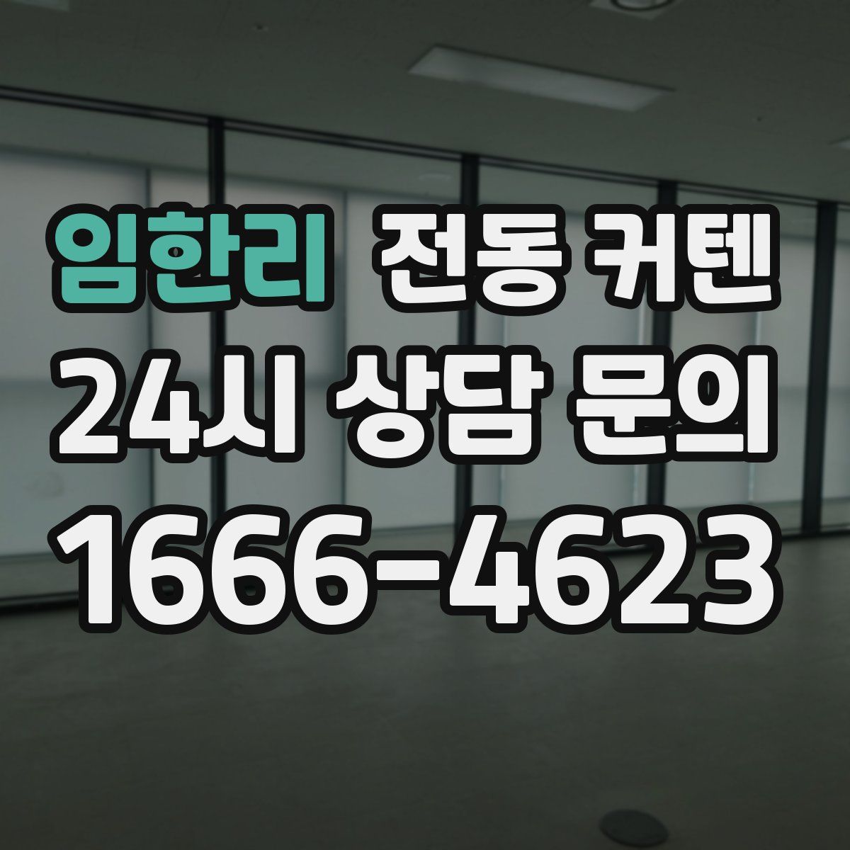 임한리 전동 커텐