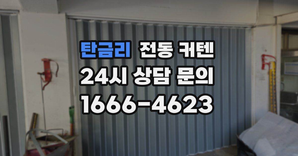 탄금리 전동 커텐