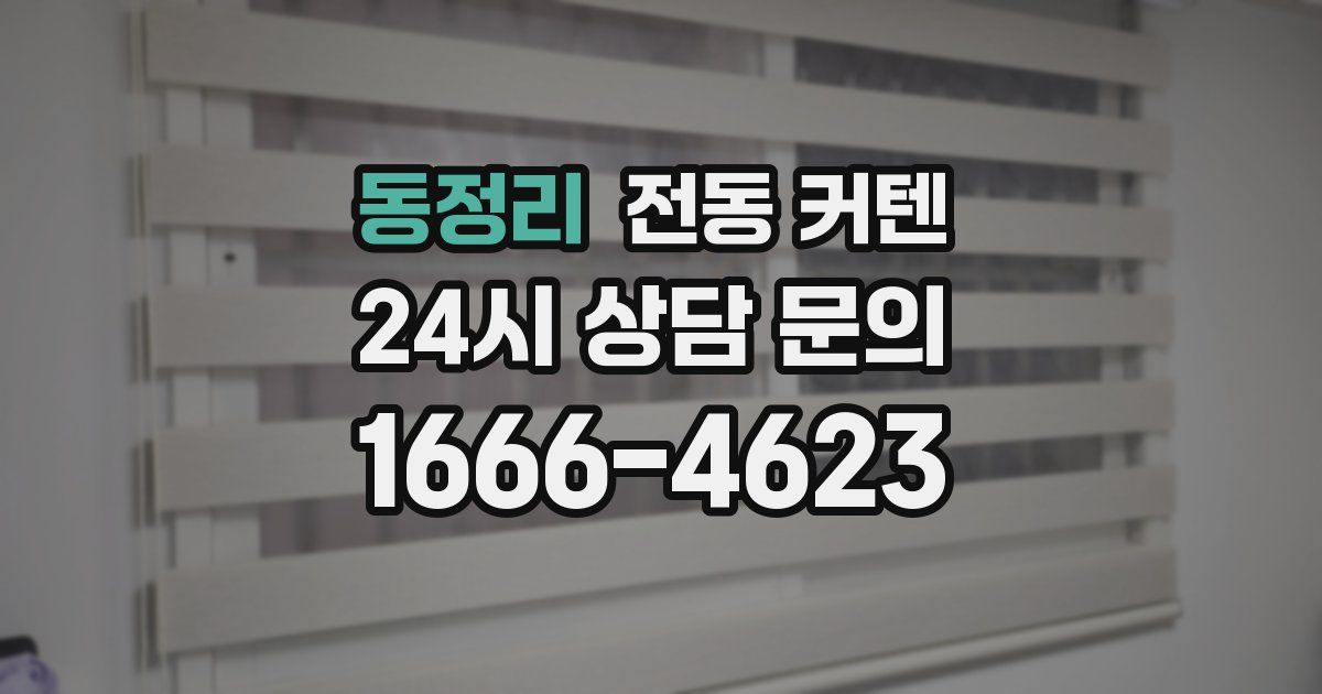 동정리 전동 커텐