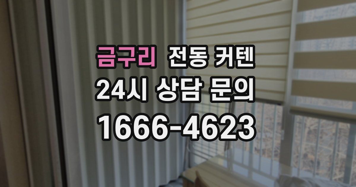 금구리 전동 커텐