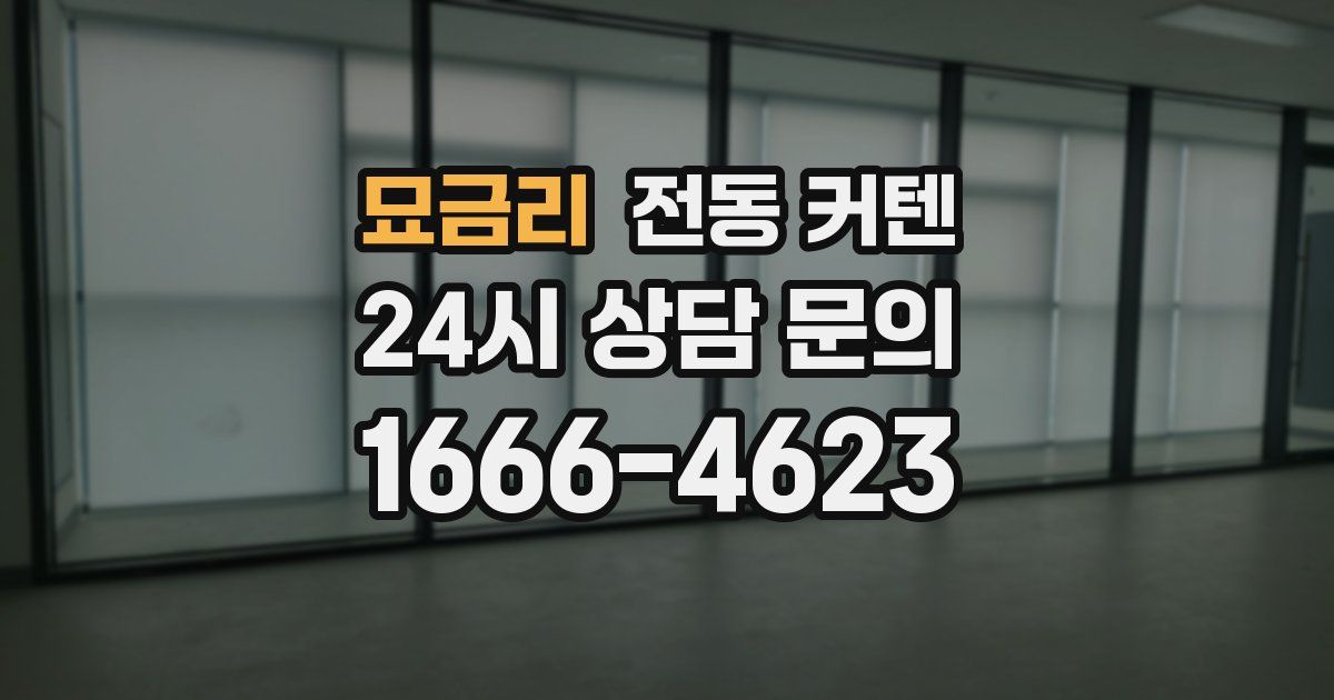 묘금리 전동 커텐