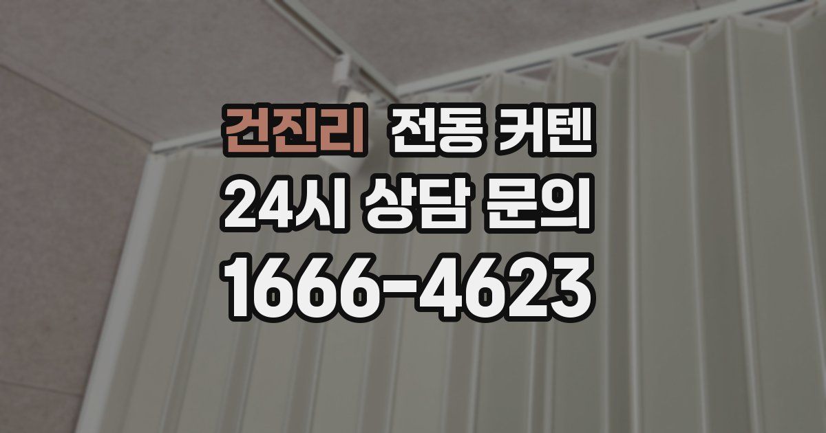 건진리 전동 커텐