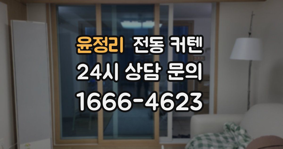 윤정리 전동 커텐