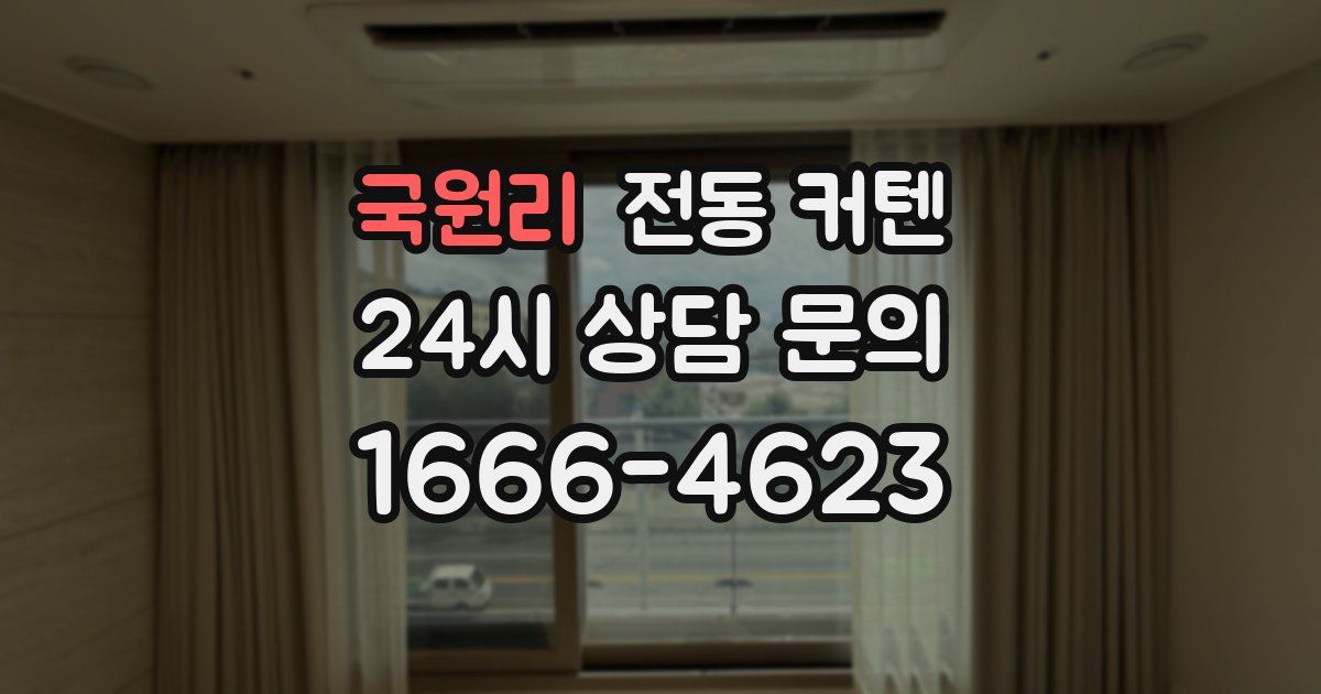 국원리 전동 커텐