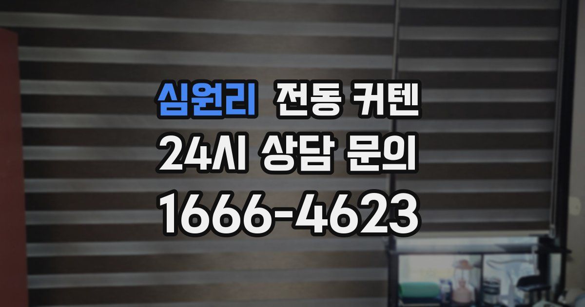 심원리 전동 커텐