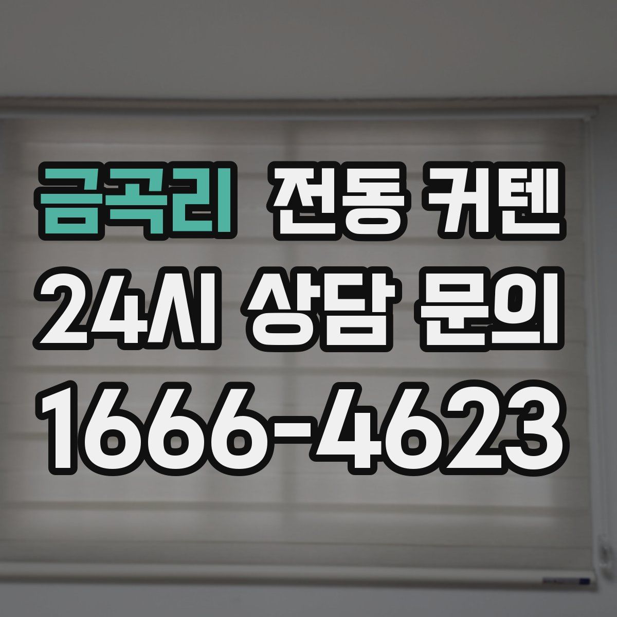 금곡리 전동 커텐