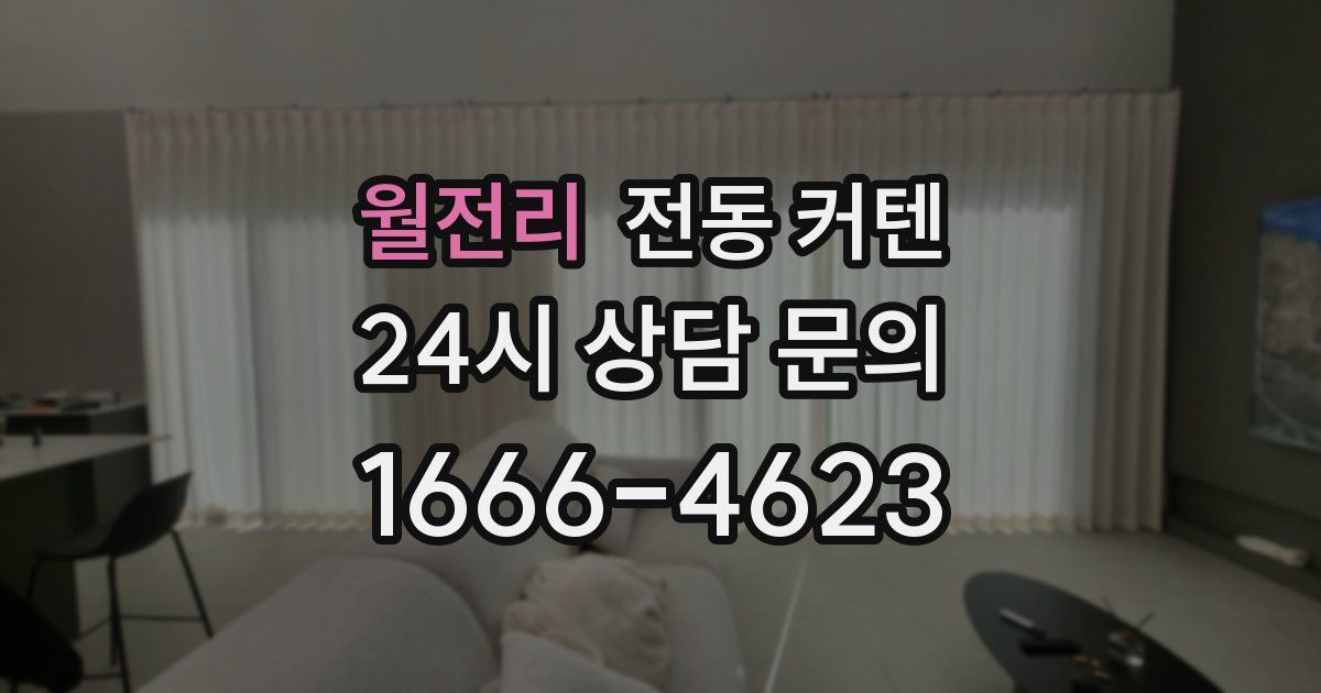월전리 전동 커텐