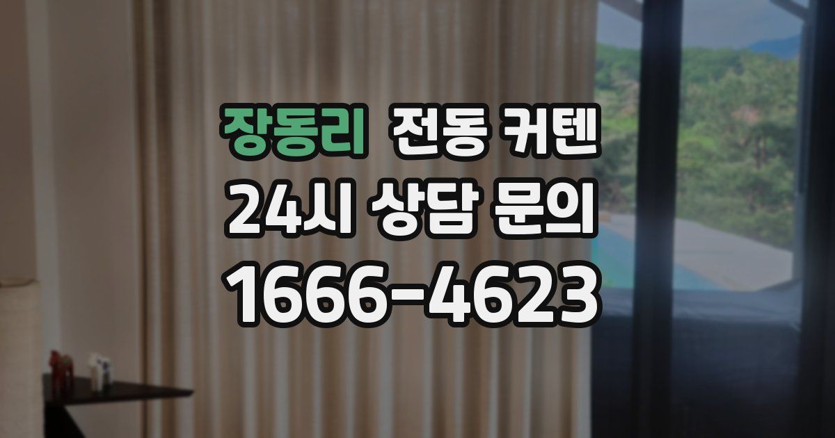 장동리 전동 커텐