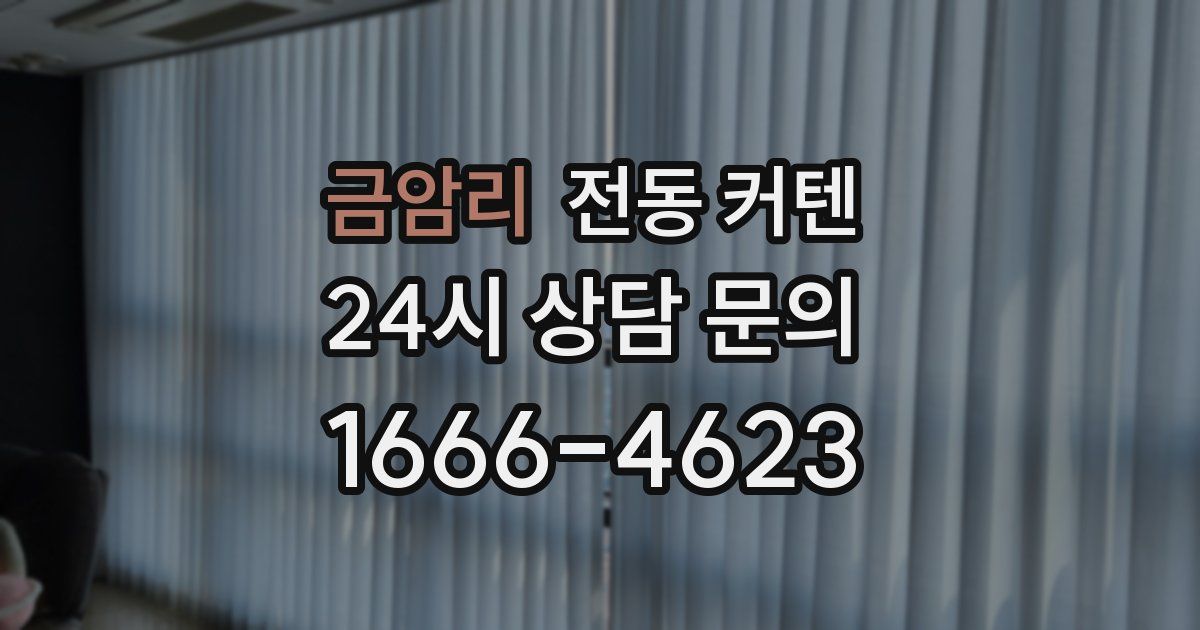 금암리 전동 커텐