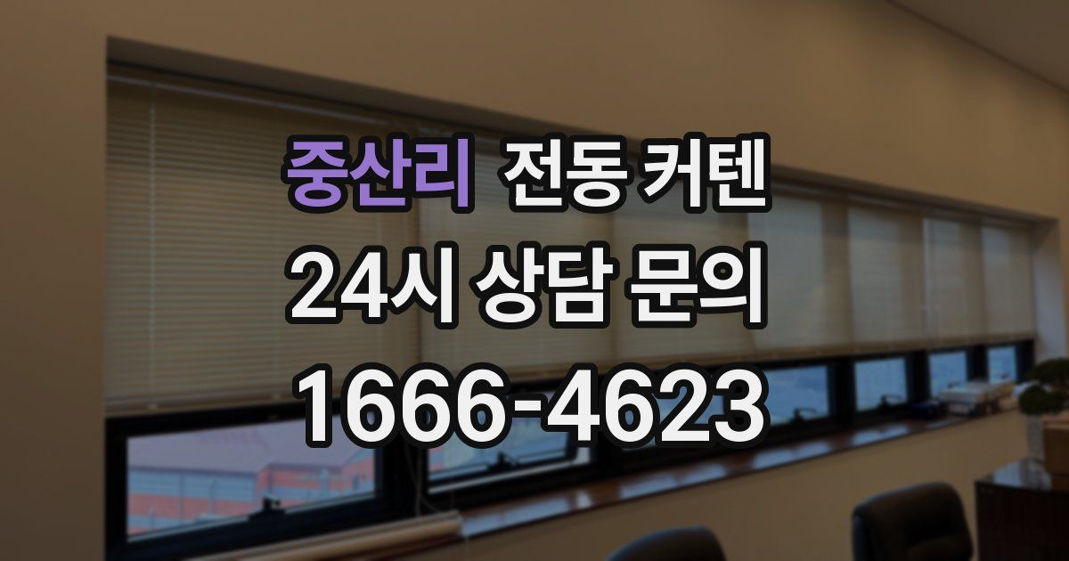 중산리 전동 커텐