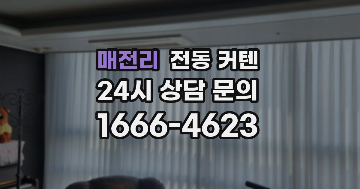 매전리 전동 커텐