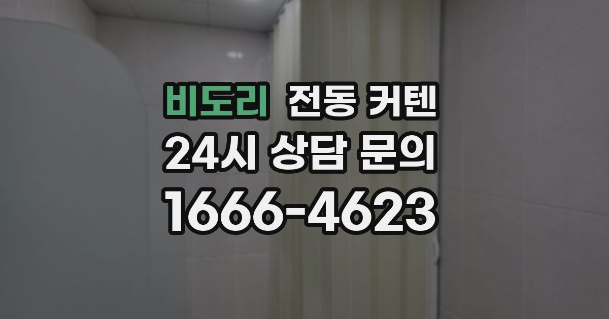비도리 전동 커텐