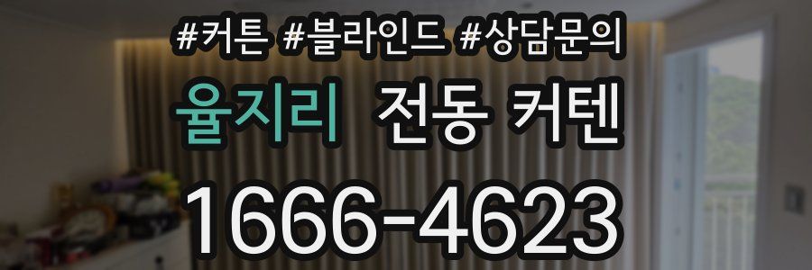 율지리 전동 커텐