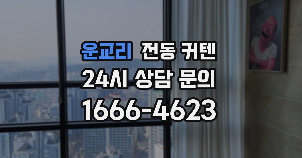 운교리 전동 커텐